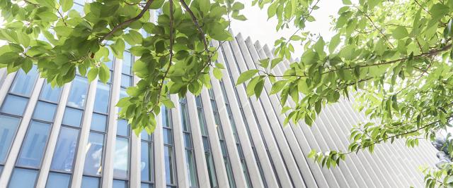 Jerome Greene Hall seen from a low angle under the cherry trees in the summer.